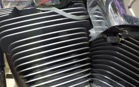 HARLEY FXDL 1450 2001