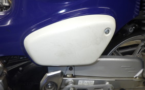 HONDA C110 SUPER CUB 2019 JA61
