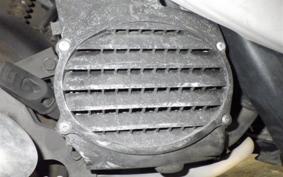 HONDA CREA SCOOPY 2024 AF55