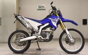 YAMAHA WR250R 2011 DG15J