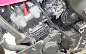 HONDA HORNET 250 MC31