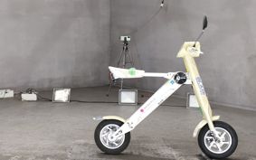 OTHER  BLAZE  SMART EV ..