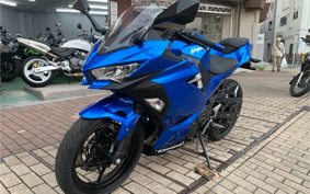 KAWASAKI Ninja 250 ABS EX250P