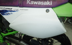 KAWASAKI KLX250 Gen.2 LX250S