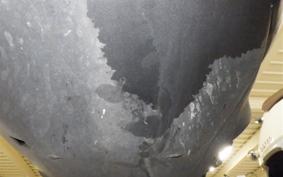 YAMAHA CYGNUSｸﾞﾘﾌｧｽ SEJ4J