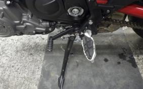 INDIAN FTR1200 carbon 2023