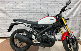 YAMAHA XSR155 RG63