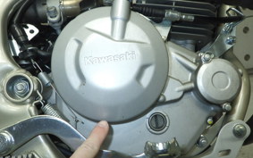 KAWASAKI KLX230ｼｪﾙﾊﾟ