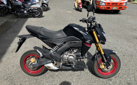 KAWASAKI Z125 PRO BR125H