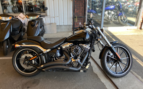 HARLEY FXSB BREAKOUT 2015 BFV