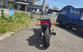 KAWASAKI ELIMINATOR 250SE EL250A