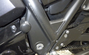 KAWASAKI ZRX1200 D 2017 ZRT20D