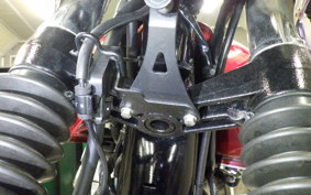 KAWASAKI W800 2022 EJ800E