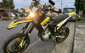 YAMAHA WR250X DG15J