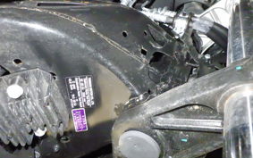 YAMAHA X-MAX 250 Trike 2019 SG70J