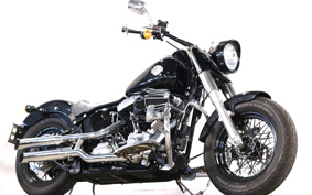 HARLEY FLS 2018 JRV