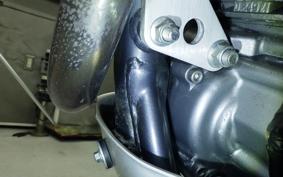 KAWASAKI SUPER SHERPA KL250G