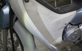 HONDA C110 SUPER CUB 2024 JA10