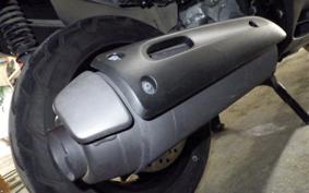 HONDA FORESIGHT EX MF04