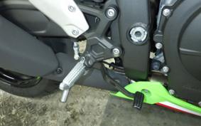 KAWASAKI ZX-4RR 2023 ZX400P