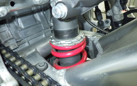 SUZUKI GSX-R1000 2001