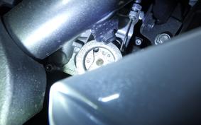 KAWASAKI NINJA 250 SL BX250A