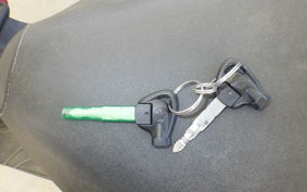 YAMAHA MAJESTY155 S SG28J