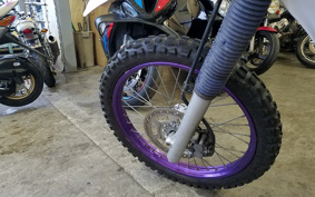 YAMAHA TT250RRAID 4GY
