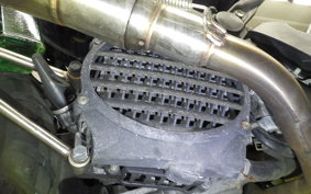 HONDA ZOOMER 2021 AF58