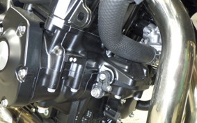 KAWASAKI Z900RS SE 2024