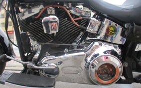 HARLEY FLSTF1340-1450 2010 BX5