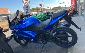 KAWASAKI NINJA 250R EX250K