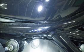 HARLEY RH975S 2024