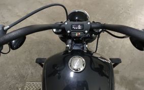 HARLEY FXBB1750 2019 YJJ