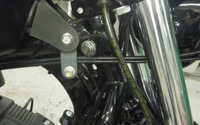 HARLEY XL883N 2016