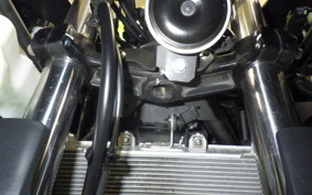 KAWASAKI NINJA 250 EX250Y