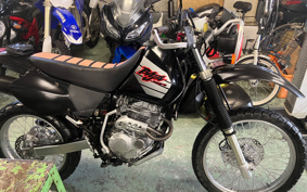 HONDA XR250BAJA MD30