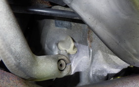 HONDA GIORCUB 2010 AF53