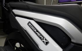 HONDA ZOOMER-X 2024 JF52