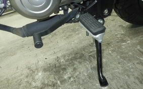 HONDA MONKEY 125 2021 JB03