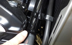 KAWASAKI Z900RS 2025 ZR900K