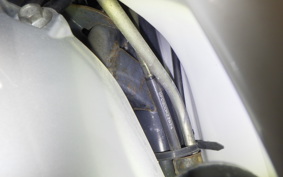 HONDA TODAY 2024 AF61