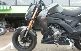 KAWASAKI Z125 PRO BR125H