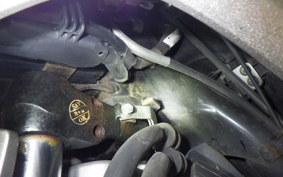 HONDA LEAD 125 2022 JF45