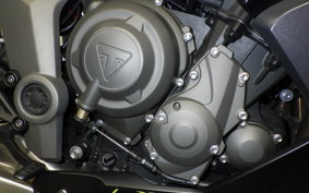 TRIUMPH DAYTONA 660 2024