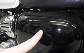 KAWASAKI W230 2025 BJ230A