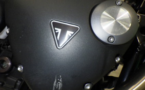 TRIUMPH SPEED TWIN 2019