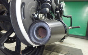 HARLEY XL883N 2015