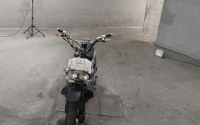 HONDA ZUMAR AF58