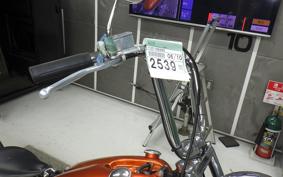 OTHER UNREGISTERED MODEL by BDS1200 2023